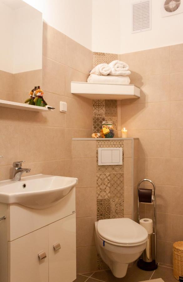 Cozy Family Apartments ブラショフ エクステリア 写真