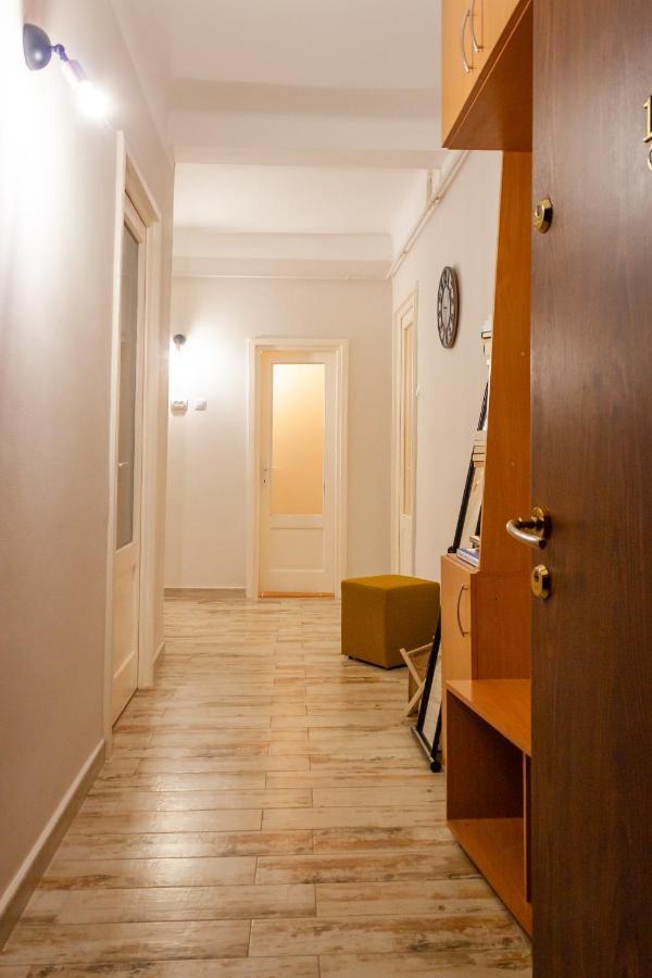 Cozy Family Apartments ブラショフ エクステリア 写真